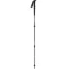 Black Diamond Trail Pro Shock Trekking Poles